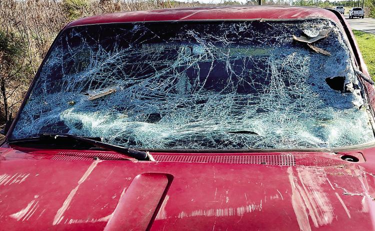 The windshield of this Ford Ranger, driven by a 24-year-old Sparta man, was damaged when a tree fell on it while he was traveling on Pea Ridge Road. PHOTO CONTRIBUTED