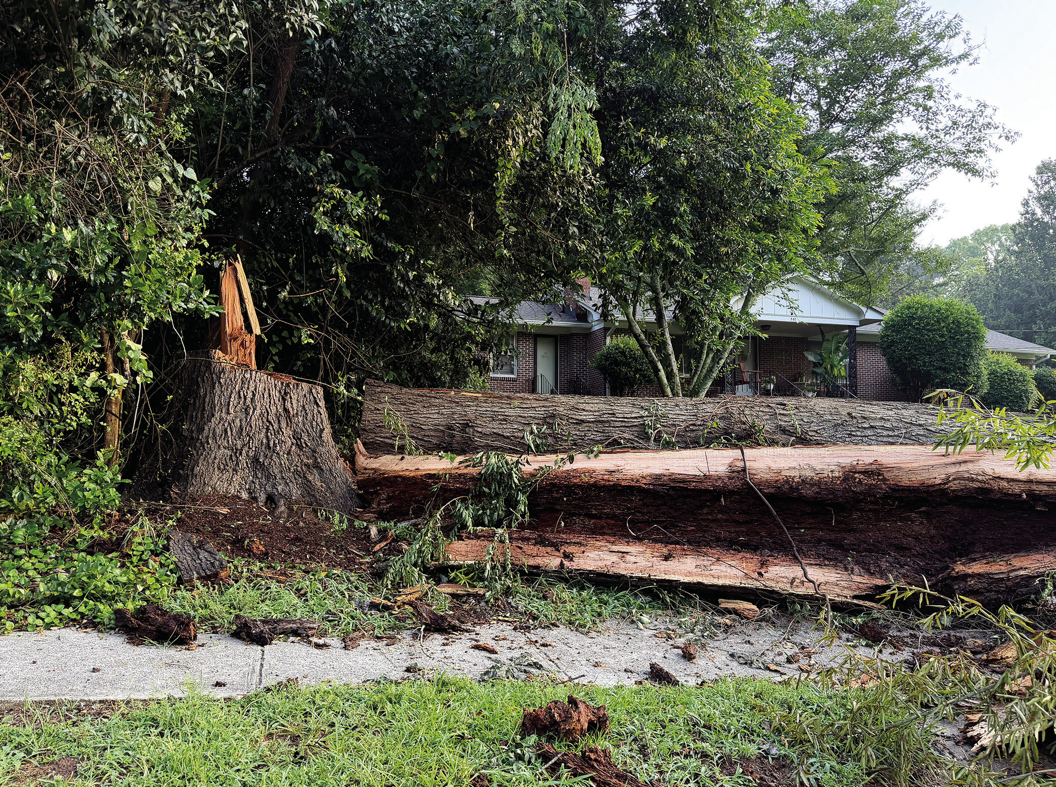 The top of this large oak tree, obviously weakened by its decayed heartwood, fell onto a utility pole and knocked down power lines in Eatonton Saturday. VICTORIA ANADENKO/Staff