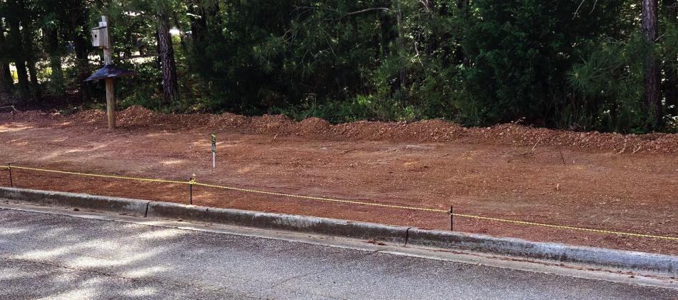 Harbor Club resident replaces weeds with wildflowers