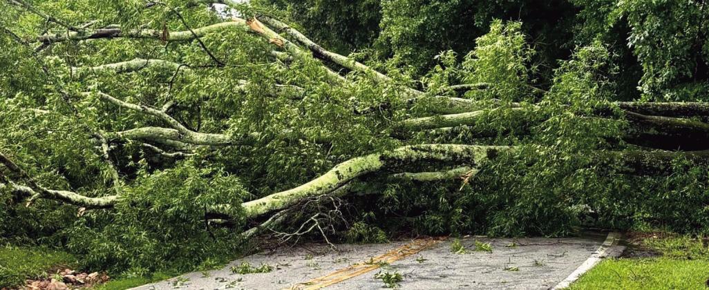 Putnam County Public Works crews clear trees from roadways after the storm. Tri-County EMC reported almost 5,000 meters were without power in Putnam and Jones counties. (Photo from Social Media)