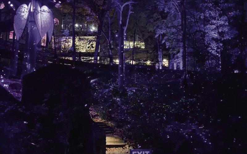 Throughout the WildWoods, a sea of shining lights dances over the natural flora creating a mystical feeling as you traverse the woods, intensifying as you reach the exit leading to the museum. BAILEY MCCULLY/Staff