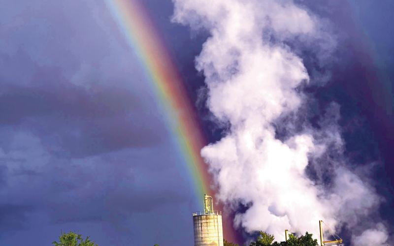 Mother Nature and industry compete for attention last week at the Interfor lumberprocessing plant on Dennis Station Road, south of Eatonton. Have you seen a sight that bugs you, captures your imagination or makes you wonder what’s going on? Tell us about it. Send email to editor@msgrnews. com or call 706-749-7232. IAN TOCHER/Staff