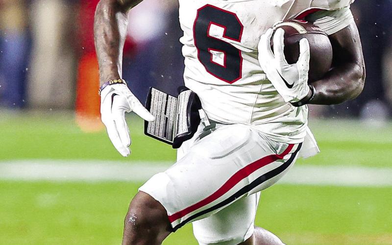 Georgia wide receiver Dominc Lovett led the team in receiving yards with 41 on four catches. TONY WALSH/UGAAA