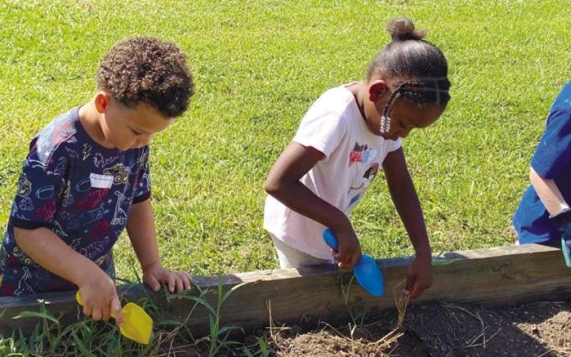 Students a part of the Summer Inspiration series work hard in the garden. (CONTRIBUTED)