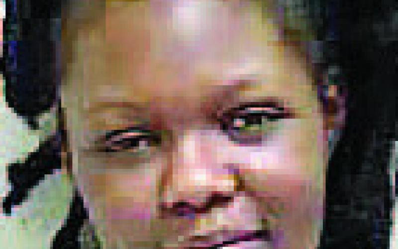 Tamiya Diavion Stokes