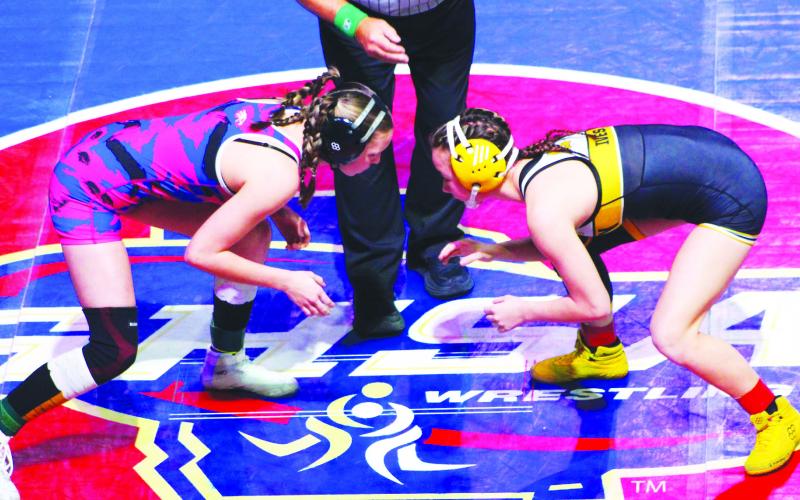 Putnam County’s Lily Armistead (left) gets set to take on Harris County’s Ava Ives (right) in the first round of the GHSA girls state traditionals wrestling tournament last week. KIM CASH/Contributed