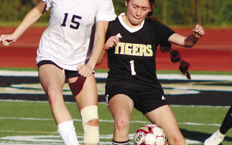 Gracie Bird (15) tries to the move the ball past a defender. ARELLA CASH/ Staff