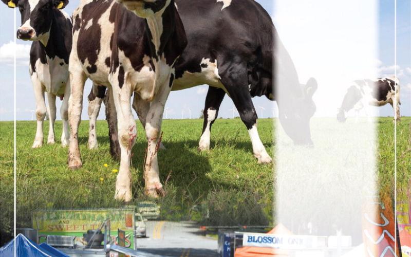 2026 DAIRY FESTIVAL