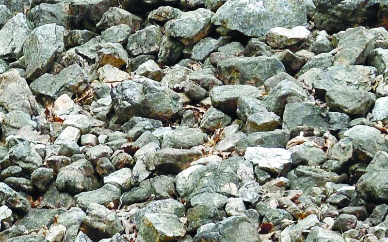 The nondescript, but rugged quartzite of the Rock Eagle and Rock Hawk effigies will endure for thousands more years if left undisturbed. CONTRIBUTED