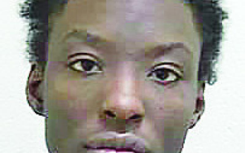 Vicky Leshay Ellison