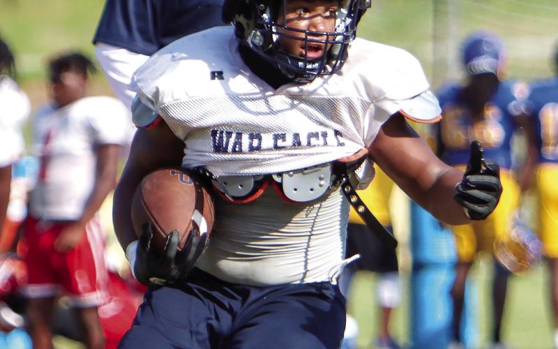 Elijah Dunn rumbles his way down through a gap in the Hawkinsville defense. (LANCE MCCURLEY/Staff)