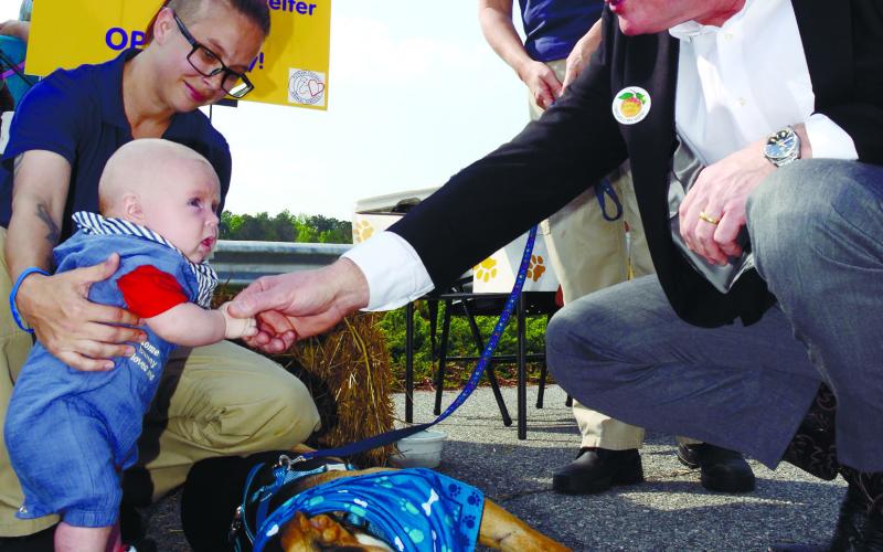 Blake the dog, who’s staying at the Putnam County Animal Shelter while hoping to find his new forever home, appears unimpressed as Congressman Collins presses the flesh with one of the county’s youngest citizens during a Fun Day for the children of county workers held the same day Collins visited with local dignitaries and officials. IAN TOCHER/Staff