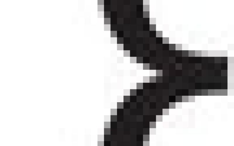 Alt Text for Image