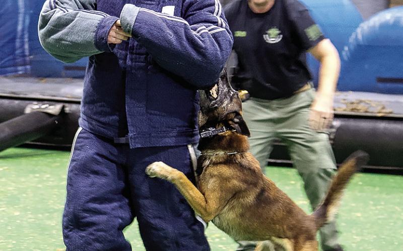 Cpl. Chris Donovan, in the background, watches closely and gives commands as K9 Nix attacks an evaluator in protective clothing during the annual South Georgia K9 Seminar last week.