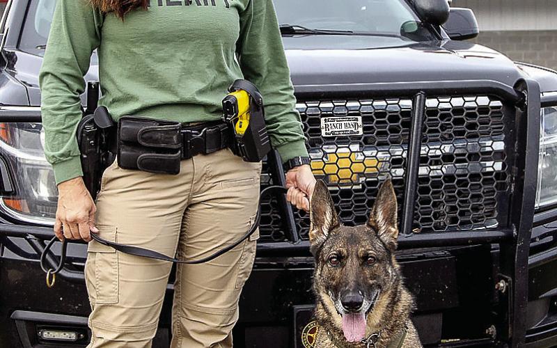 PCSO Deputy Hollie Collins and K9 Kora get ready for the explosives detection competition at the annual K9 Seminar last week.
