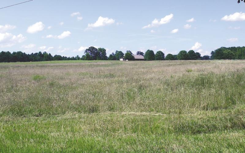 The pyramids and other Egyptian-themed accouterments of Dwight York’s Tama-Re complex are long gone, leaving just a bucolic countryside scene alongside Shady Dale Road in the northwest portion of Putnam County. IAN TOCHER/Staff