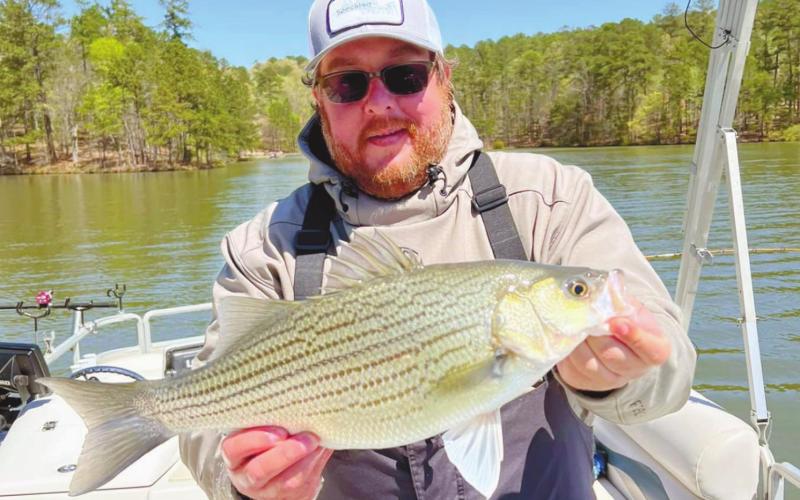 James with a springtime hybrid.