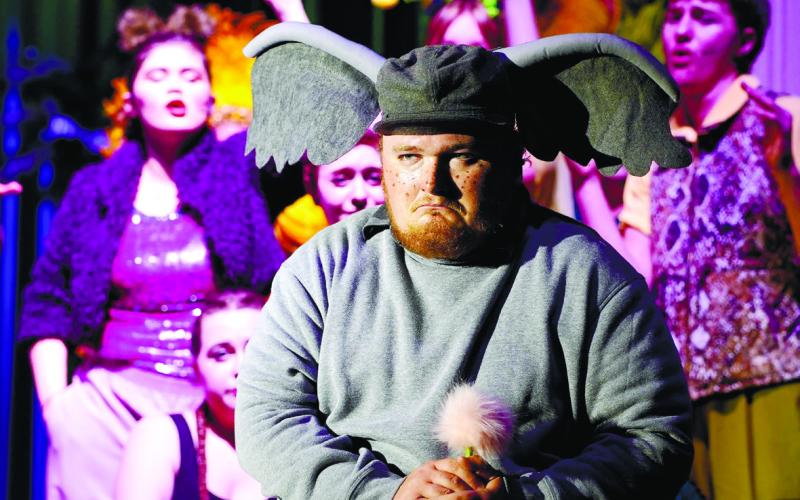 Horton the Elephant, played by Putnam County Middle School teacher Seth Wicker. CONTRIBUTED