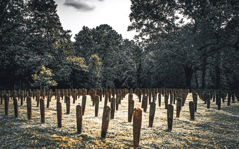 There are upwards of 35,000 graves (marked and unmarked) on the Central State Hospital grounds. COURTESY OF JESSICA WHITEHEAD/SEEKING ASYLUM