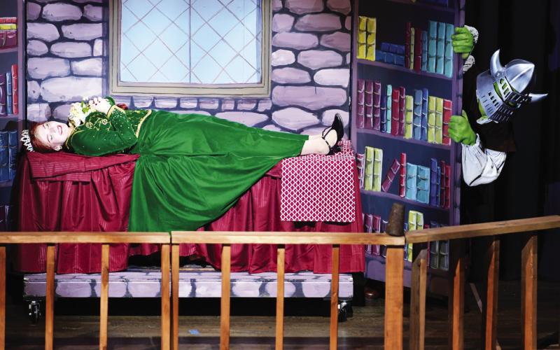 Many of the sets for Shrek the Musical were relatively simple but very effective in creating humorous or dramatic atmospheres as required for the action on stage.