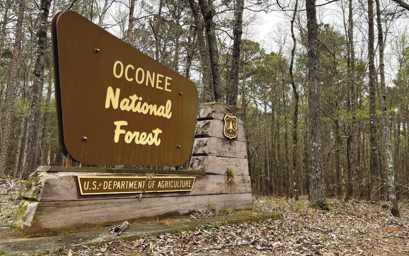 Putnam County is home to the largest portion of the Oconee National Forest, which stretches across eight Georgia counties. IAN TOCHER/Staff
