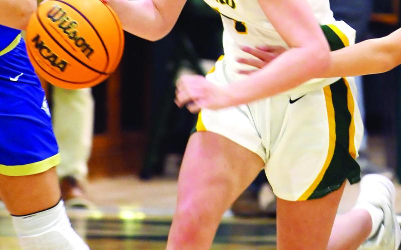 Gatewood junior Lauren Paxson is among Farley’s “go-to” players on the Lady Gators this season.
