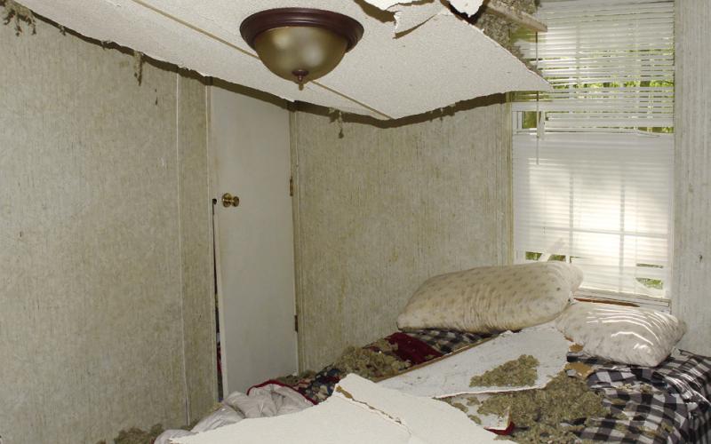 The tree fell through the roof and into Branson Johnson's bedroom. Luckily, he escaped alive. (Photo/CONTRIBUTED)