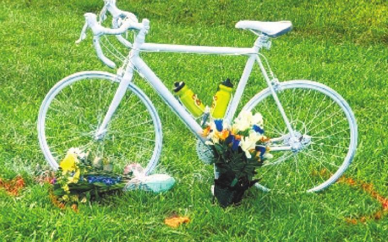 Bicycler struck, killed by vehicle