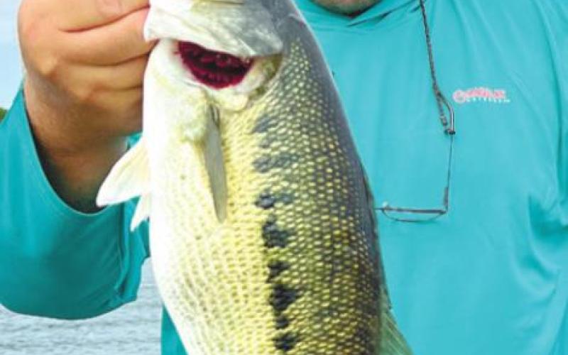 James with a Lanier spotted bass caught on a Sebile.