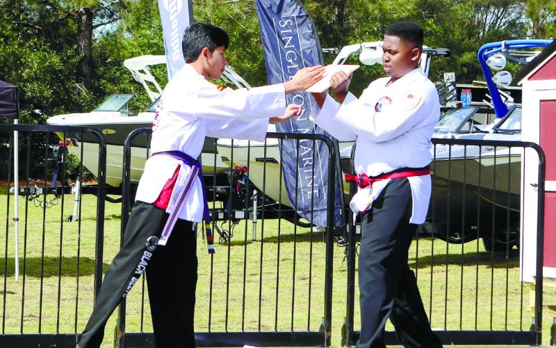 On stage, students from Saltamacchio’s Tang Soo Do Academy demonstrate their moves.