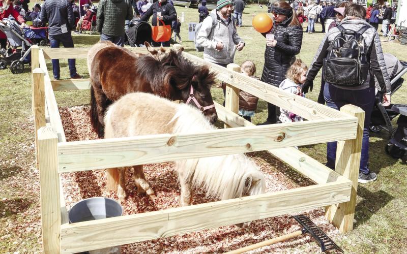 The children and adults all loved the ponies on-hand for petting.