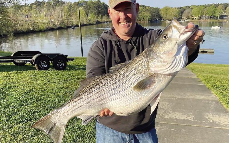 Lake Oconee Striper Club member Chad Womack proudly displays the 25-pound striper he caught recently during Capt. Doug Nelms’ Derby. CONTRIBUTED
