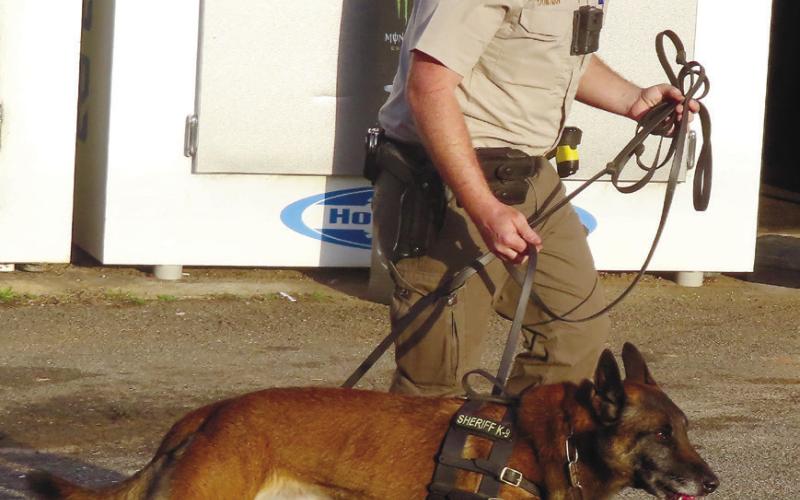 PCSO K-9 Nix and his handler, Deputy Chris Donovan, begin the search in front of Terry’s One Stop on Scuffleboro Road for a man who attempted to hijack a woman’s pickup truck while she drove home. CONTRIBUTED