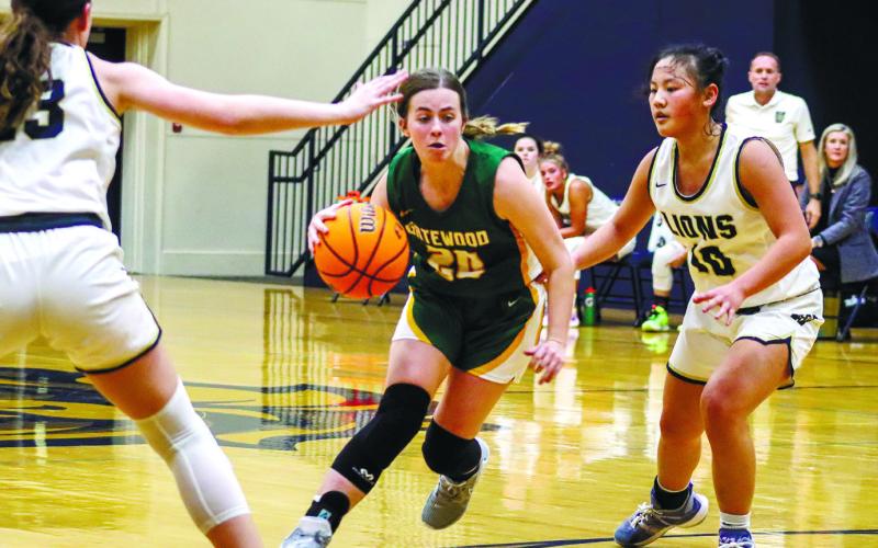 Eliana Tkacik (20) splits the defense and drives hard toward the basket against Westminster Christian Academy. LANCE McCURLEY/Staff