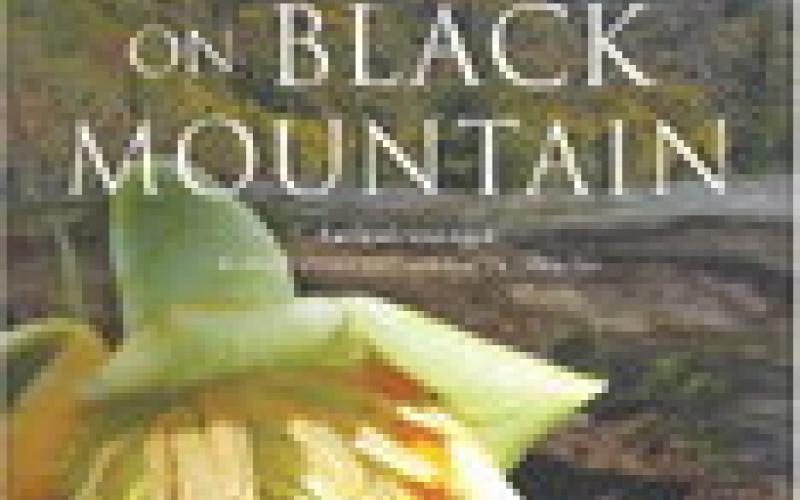 GWM book review: Haints of Black Mountain