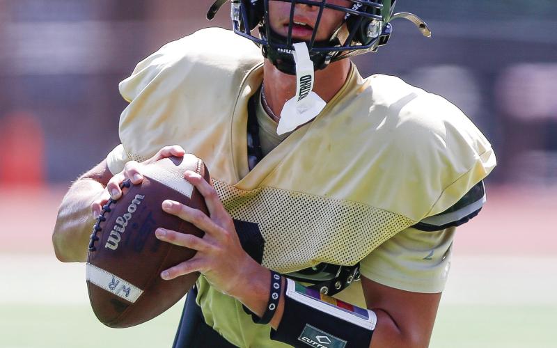 Transfer quarterback Brody Moreno will look to make an immediate impact under center for the Tigers this season. LANCE McCURLEY/Staff
