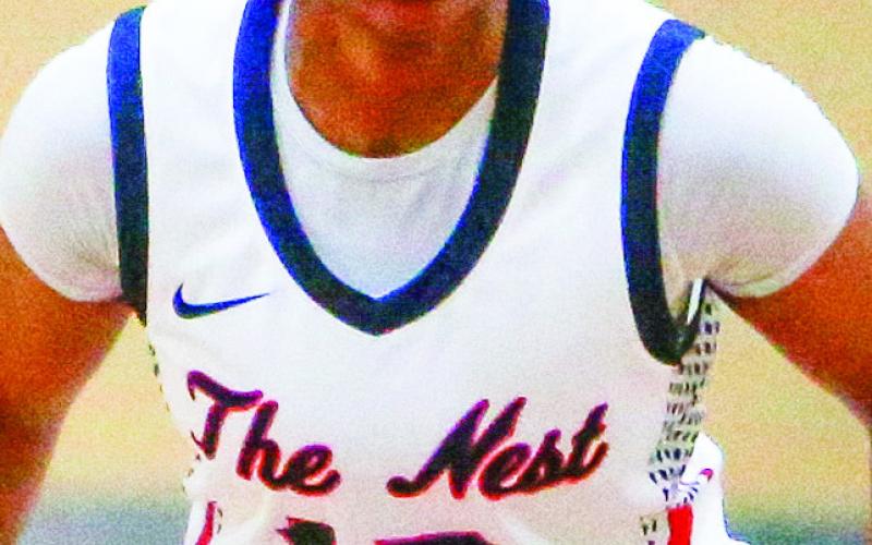 Senior Melody Richardson (15) is one of the team’s leaders in steals. LANCE McCURLEY/Staff
