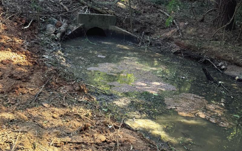 A sinkhole under the Putnam County Primary School car line requires repair. (CONTRIBUTED)