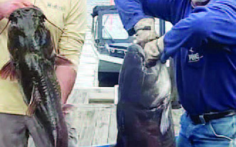 Big Blue takes the prize at fishing tournament
