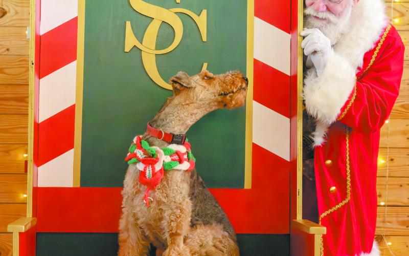 PETS WITH SANTA