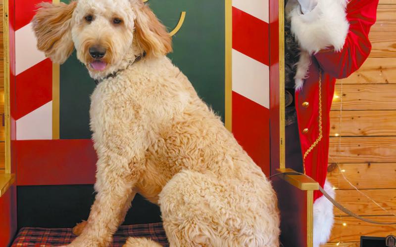 “Santa Don” clearly enjoyed interacting with each of his four-legged visitors – and a few two-legged visitors, too.