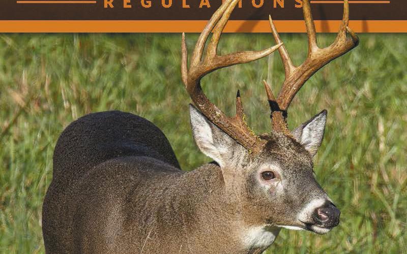 Deer season opens this weekend in Georgia. CONTRIBUTED