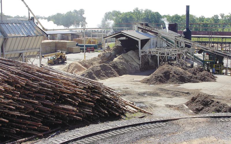 At Interfor’s Putnam County facility on Dennis Station Road, massive piles of southern yellow pine are backed by large mounds of sawdust and wood chips, none of which go to waste. CONTRIBUTED