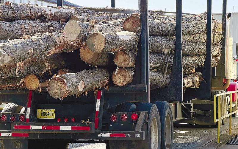A seemingly endless procession of log-hauling big rigs roll across the Interfor scales daily. IAN TOCHER/Staff