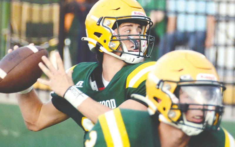 With a full season as a starter under his belt, junior quarterback Ames Johnson is expected to be a solid presence for the Gators this year. IAN TOCHER/Staff