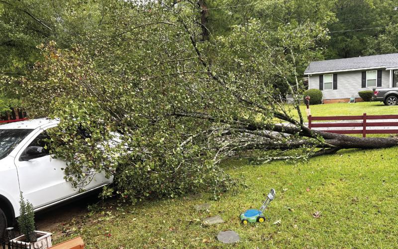 Tonya Evans of Sunnydale Drive in Putnam County said this tree fell last Thursday during Hurricane Helene’s visit, but thankfully, there was no serious damage to her car. CONTRIBUTED