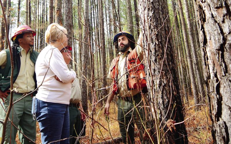 L-R: Silviculturist Deyonte Johnson, Putnam County landowner Lynne Woods and Forest Health Protection Entomologist Paul Merten speak with Forester Luke Wilson in the Oconee Ranger District pine forest near Rock Eagle. IAN TOCHER/Staff
