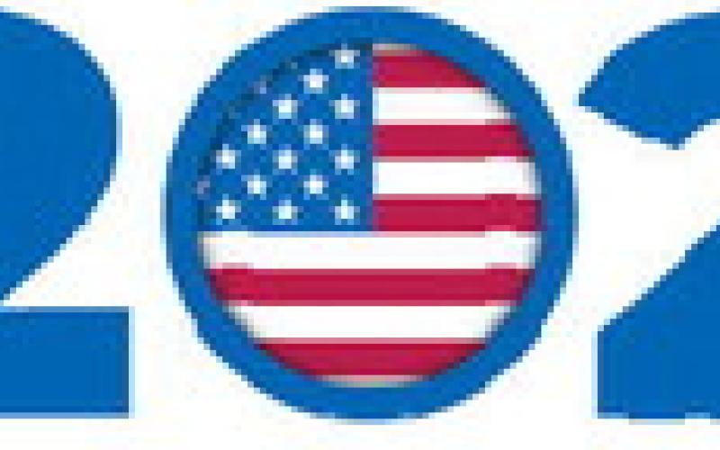 Alt Text for Image