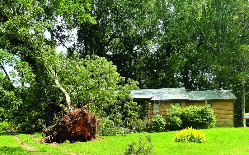 The large pecan tree that was “a nice shade tree,” now lies where it crashed into the roof of the Leverett homeplace. LYNN HOBBS/Staff