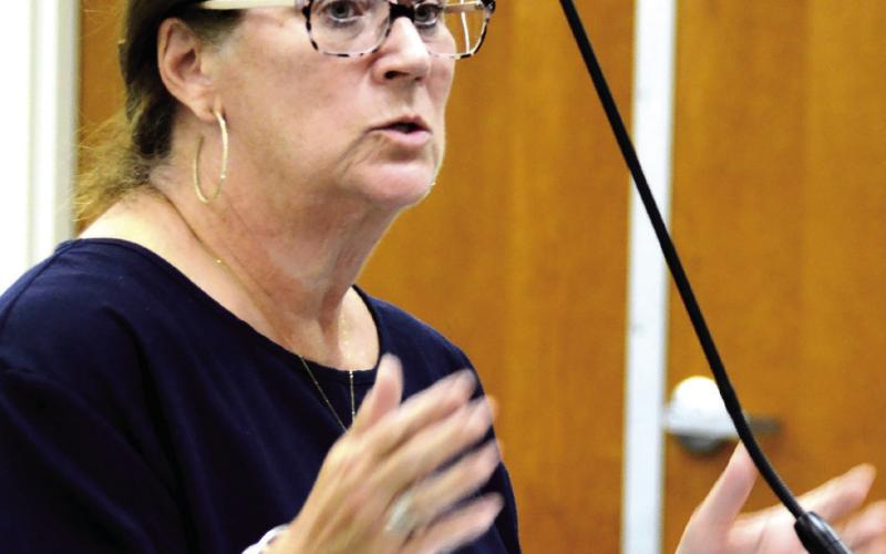 Susan Usry, executive director at The Plaza Arts Center, presented to the council asking for approval to apply for a cultural arts facilities grant. (IAN TOCHER/Staff)